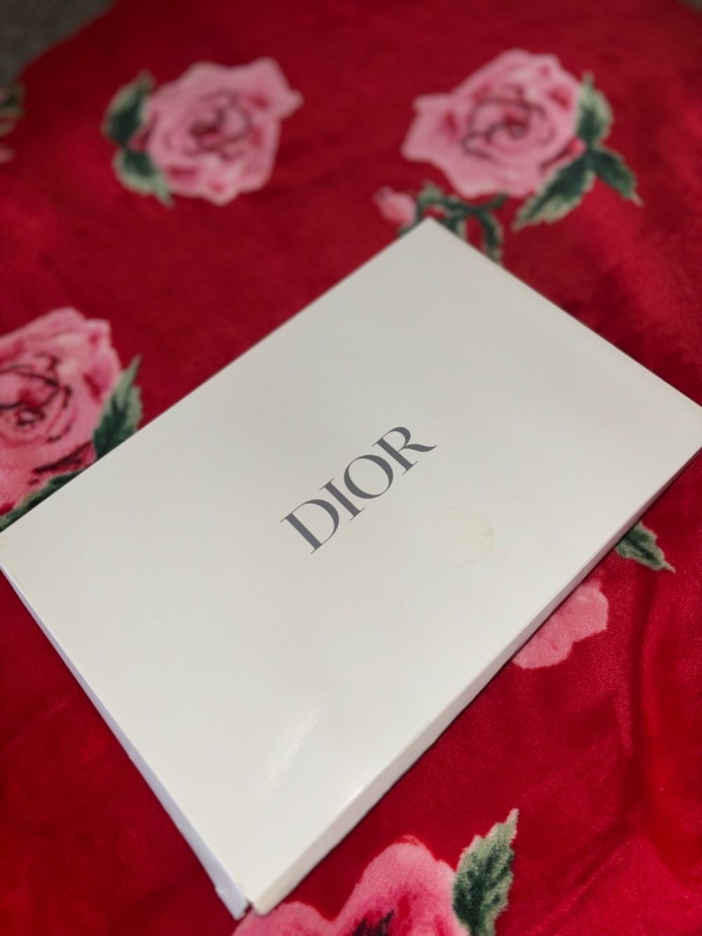 Dior Black Satin Logo Pouch with Silver Plaque - Picture 4 of 5
